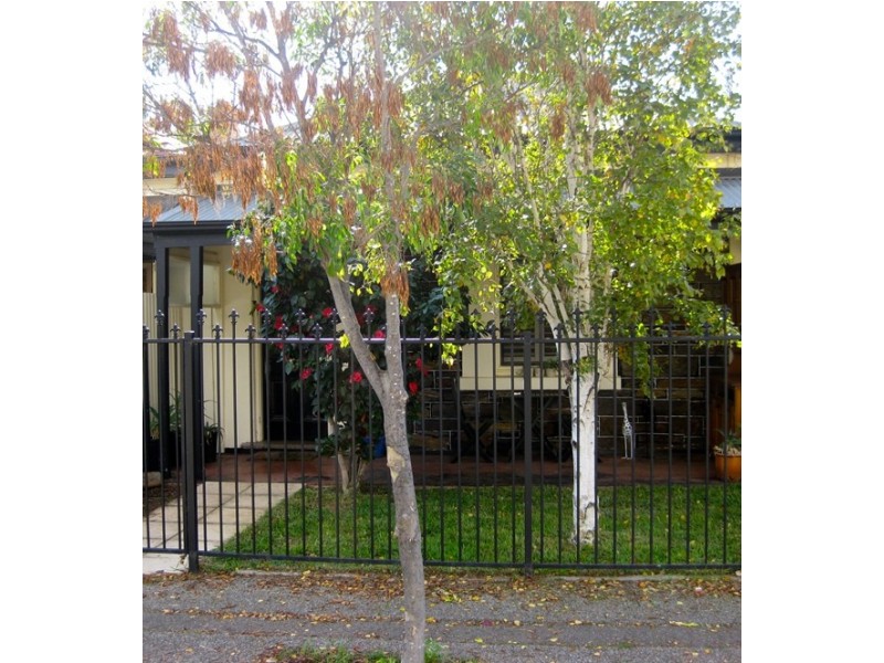 32 Alfred Street, Parkside SA 5063