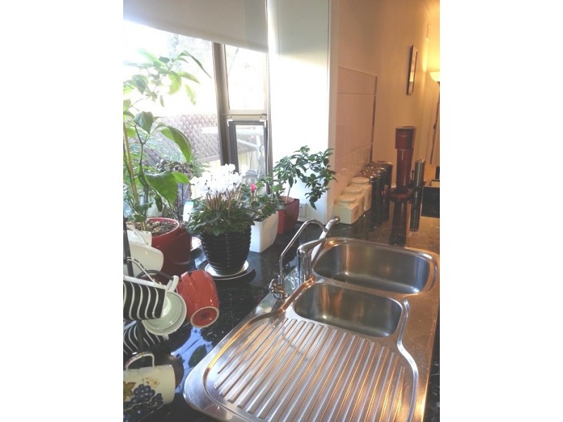 13 Araluen Street, Ridgehaven SA 5097