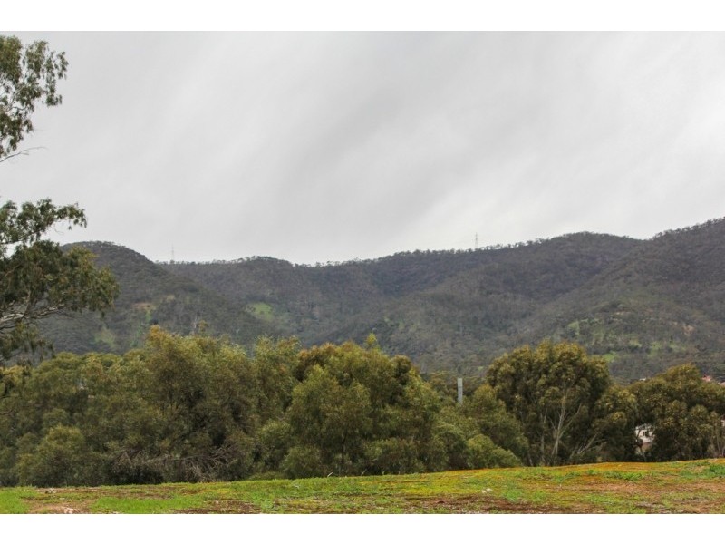 4 Palm Court, Athelstone SA 5076