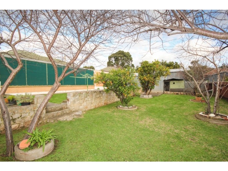 3 Doradillo Avenue, Modbury SA 5092