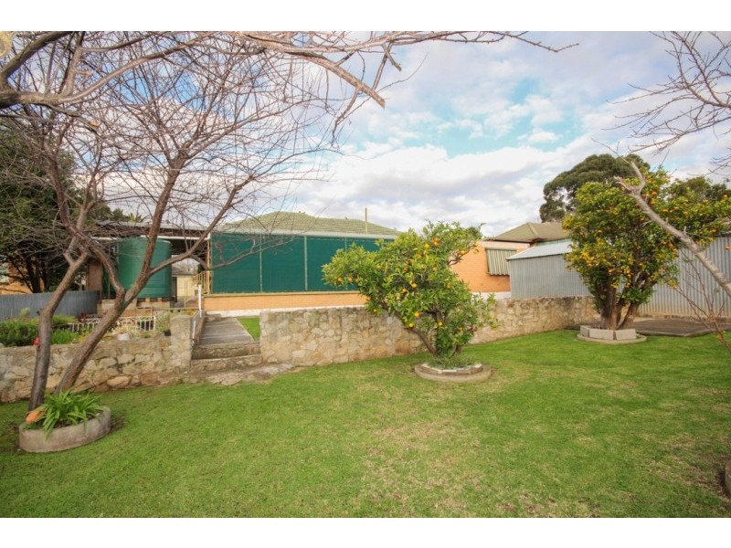 3 Doradillo Avenue, Modbury SA 5092