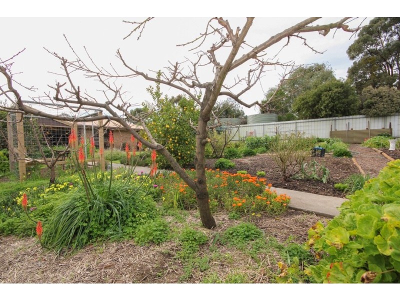 51 Eva Street, Williamstown SA 5351