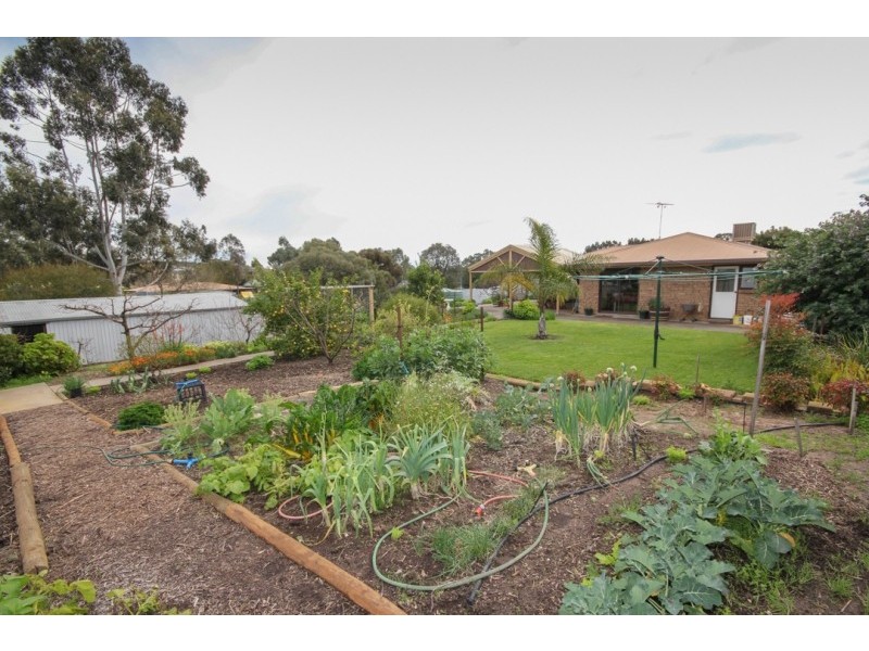 51 Eva Street, Williamstown SA 5351