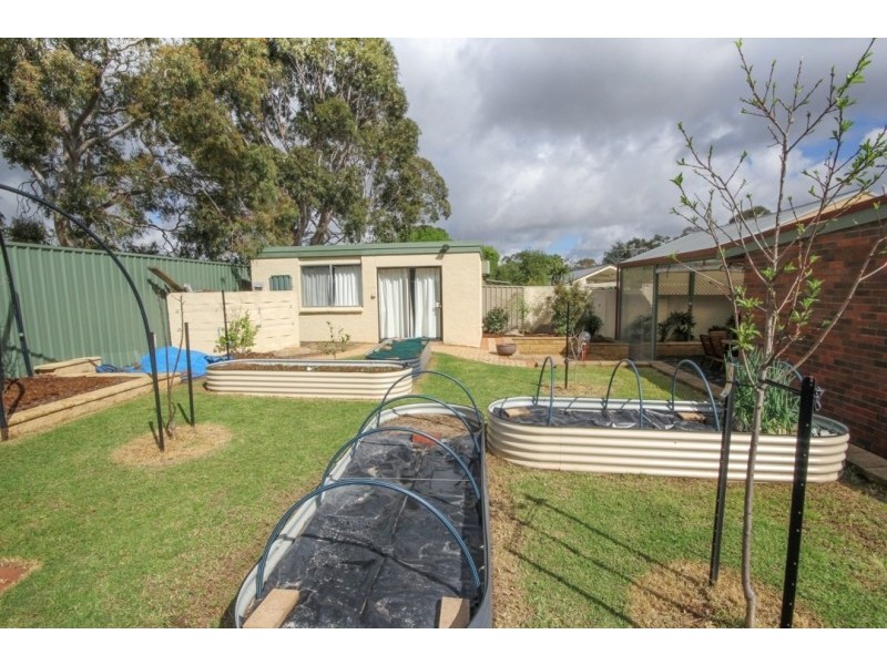 16 Bowen Road, Tea Tree Gully SA 5091
