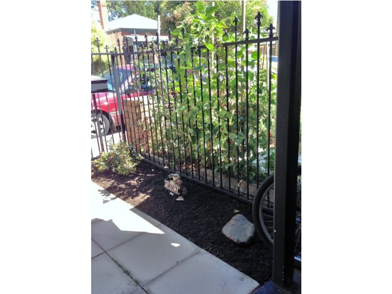 32 Alfred Street, Parkside SA 5063