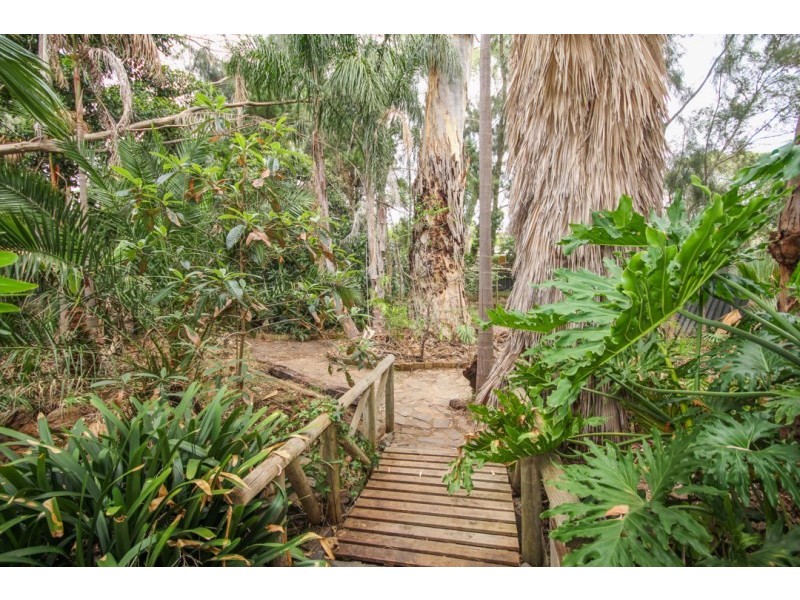 13 Steventon Drive, Banksia Park SA 5091