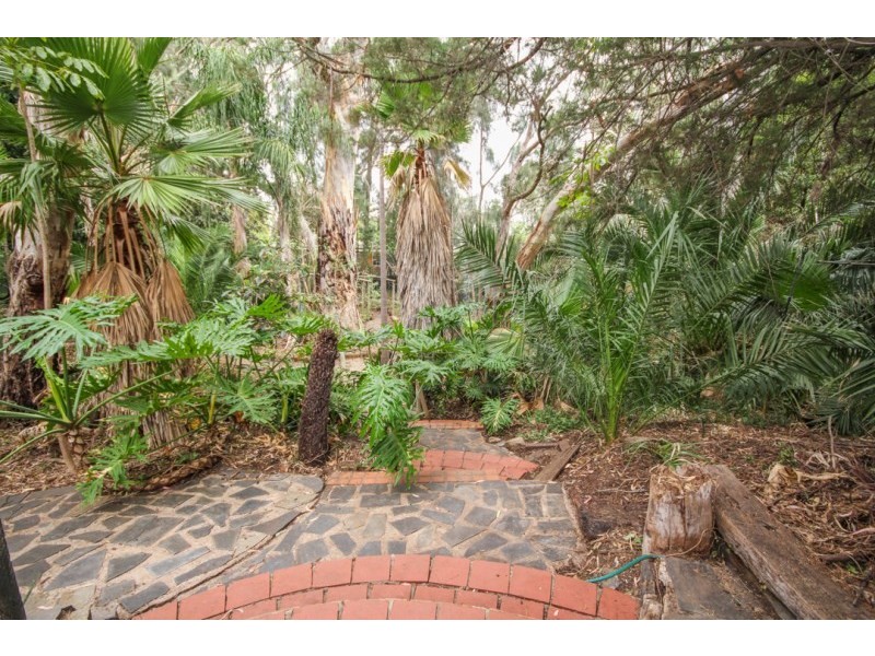 13 Steventon Drive, Banksia Park SA 5091