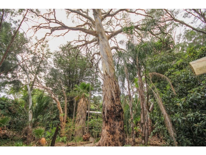 13 Steventon Drive, Banksia Park SA 5091