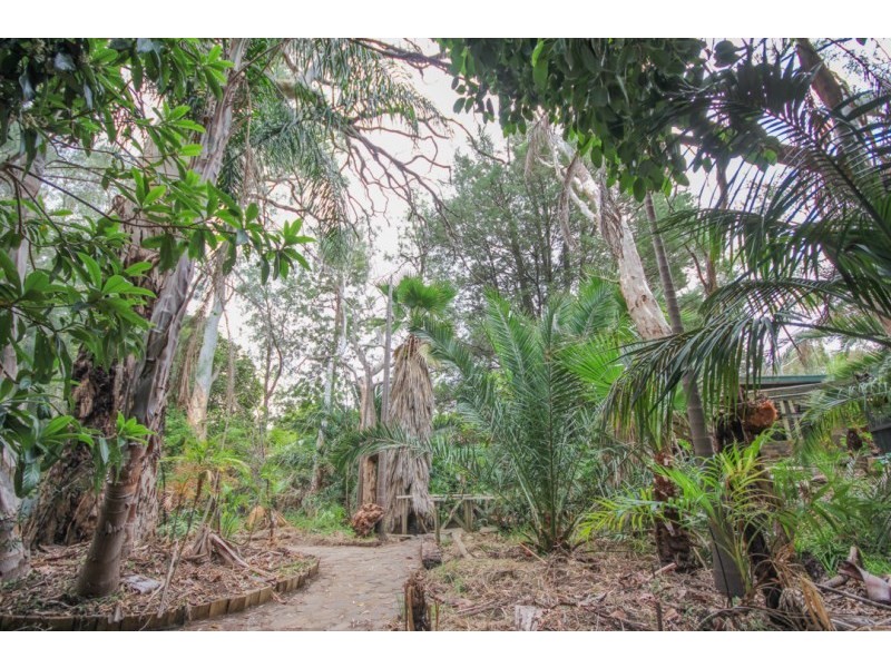 13 Steventon Drive, Banksia Park SA 5091