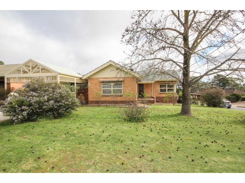 16 Nicholas Drive, Tea Tree Gully SA 5091