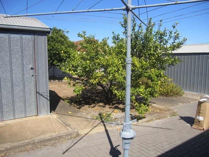 39 Clifton Street, Blair Athol SA 5084