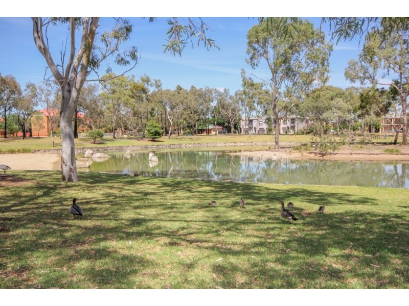 3 Annesley Street, Oakden SA 5086