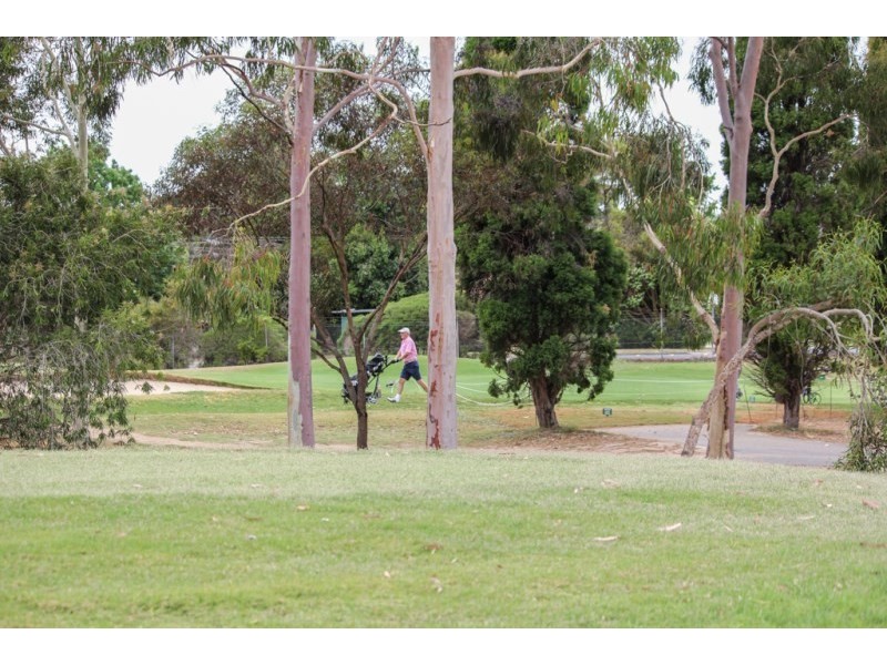 43 Hamilton Road, Fairview Park SA 5126