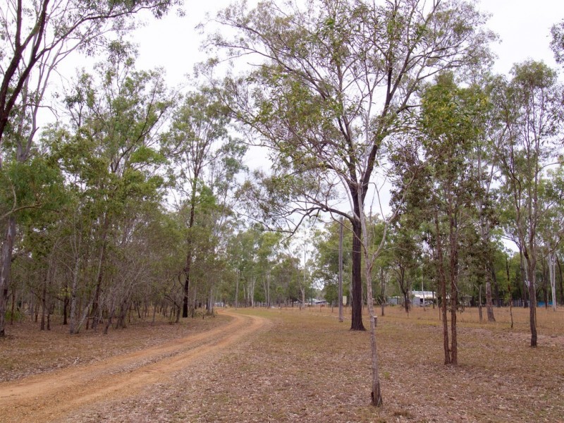 99 TWIN LAKES ROAD, Coominya QLD 4311