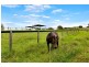 242 VOIGHTS ROAD, Glamorgan Vale QLD 4306