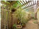 12 Gregory Street, Wulkuraka QLD 4305