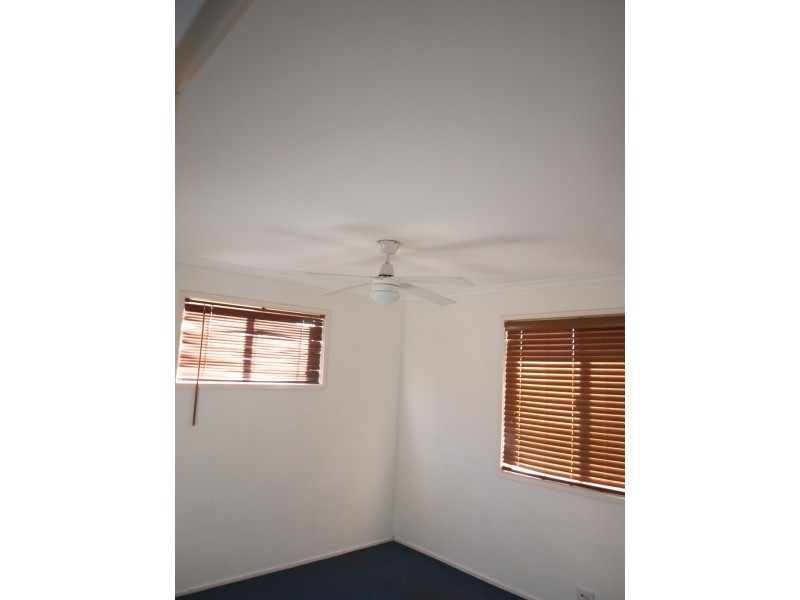 119 Chubb Street, One Mile QLD 4305