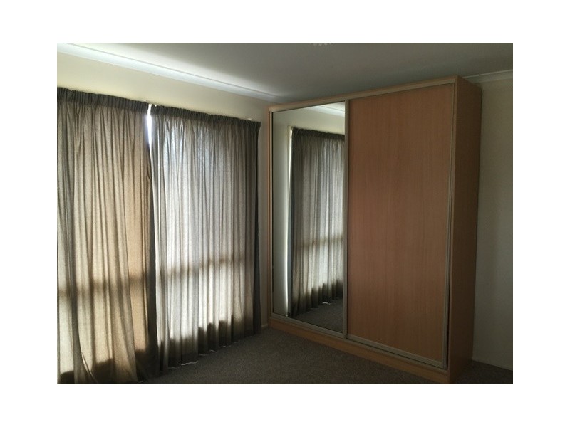 79 Carralluma Street, Fernvale QLD 4306