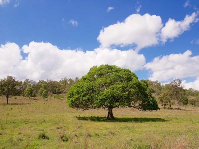 1714 WIVENHOE-SOMERSET ROAD, Dundas QLD 4306
