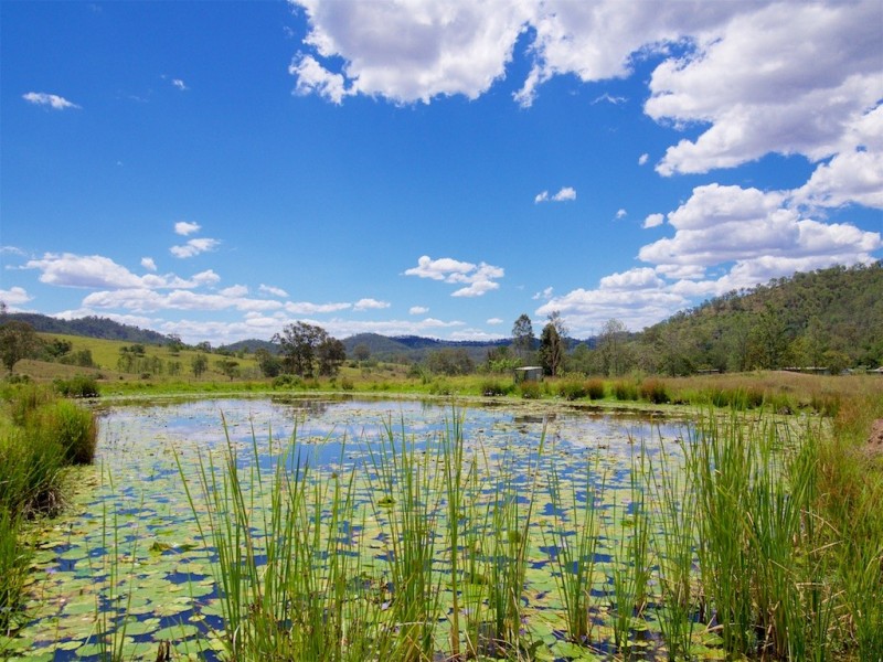115 NORTHBROOK PARKWAY, Dundas QLD 4306