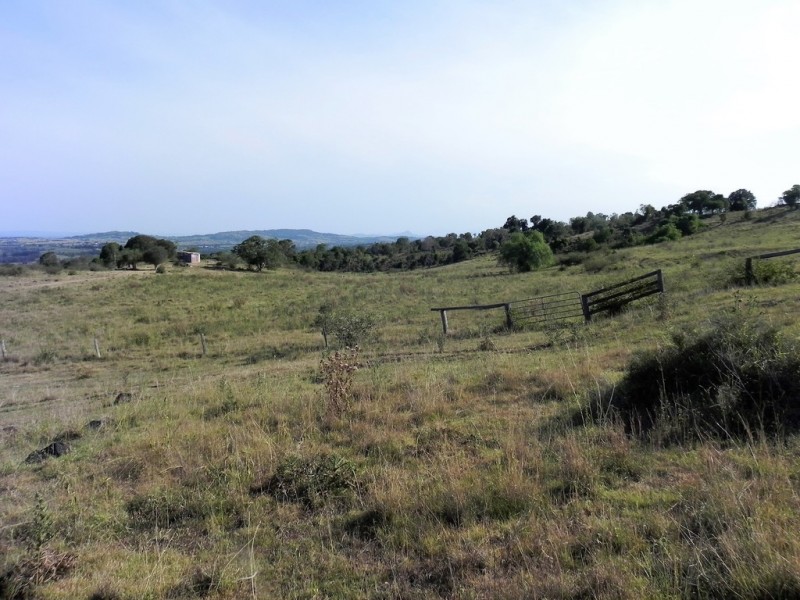 Lot 13 440 Larkhill Boundary Rd, Lark Hill QLD 4306