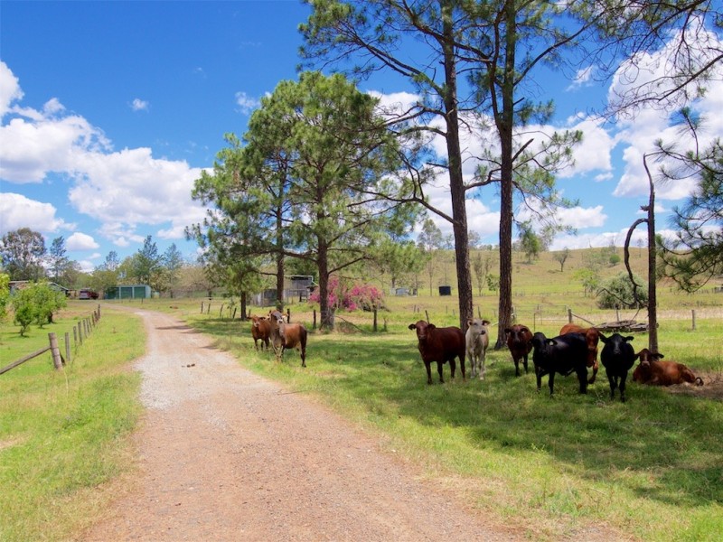 115 NORTHBROOK PARKWAY, Dundas QLD 4306