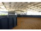 232 RIFLE RANGE ROAD, Rifle Range QLD 4311