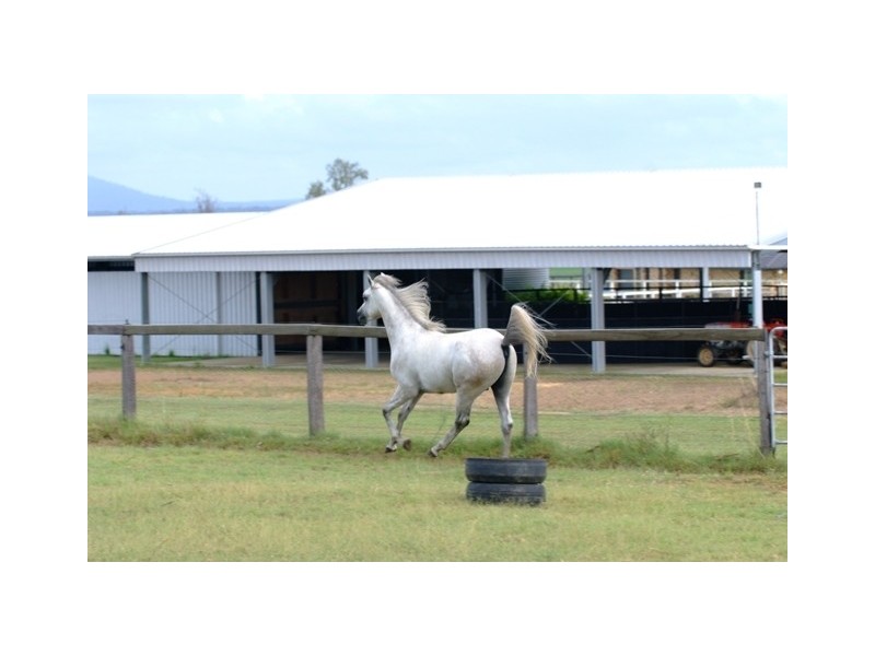 232 RIFLE RANGE ROAD, Rifle Range QLD 4311