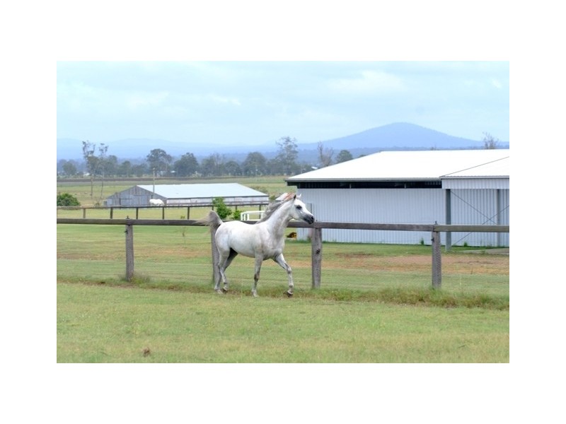 232 RIFLE RANGE ROAD, Rifle Range QLD 4311