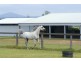 232 RIFLE RANGE ROAD, Rifle Range QLD 4311