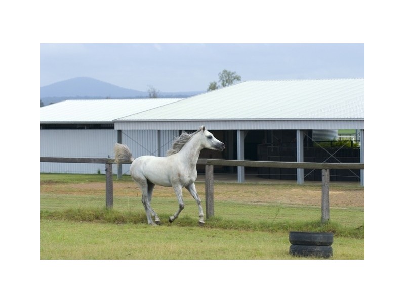 232 RIFLE RANGE ROAD, Rifle Range QLD 4311