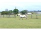 232 RIFLE RANGE ROAD, Rifle Range QLD 4311