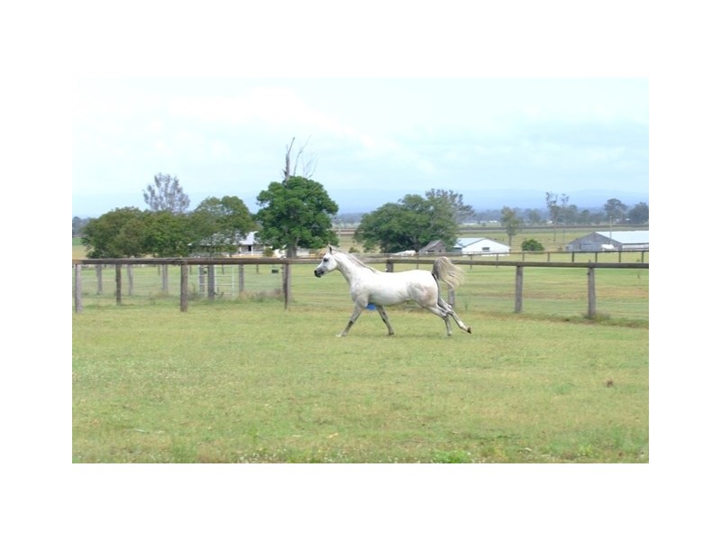 232 RIFLE RANGE ROAD, Rifle Range QLD 4311