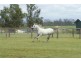 232 RIFLE RANGE ROAD, Rifle Range QLD 4311