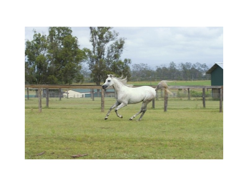 232 RIFLE RANGE ROAD, Rifle Range QLD 4311