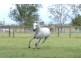 232 RIFLE RANGE ROAD, Rifle Range QLD 4311