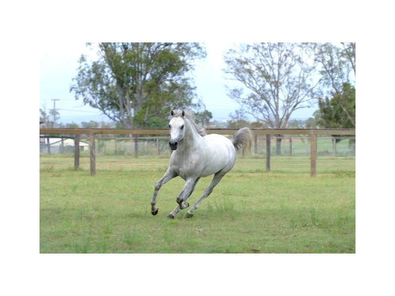 232 RIFLE RANGE ROAD, Rifle Range QLD 4311