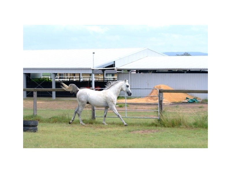 232 RIFLE RANGE ROAD, Rifle Range QLD 4311