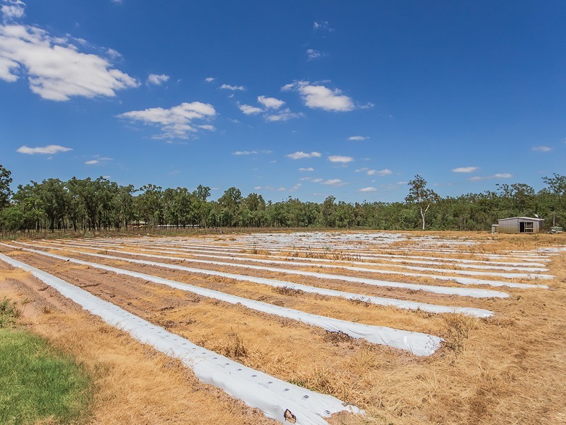 56 RYANS ROAD, Coominya QLD 4311