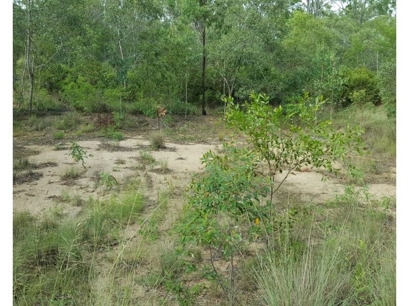 24 PINOT PLACE, Pine Mountain QLD 4306