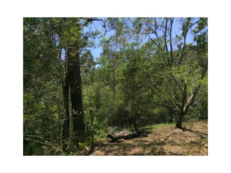 523 Wivenhoe Somerset Road, Split Yard Creek QLD 4306