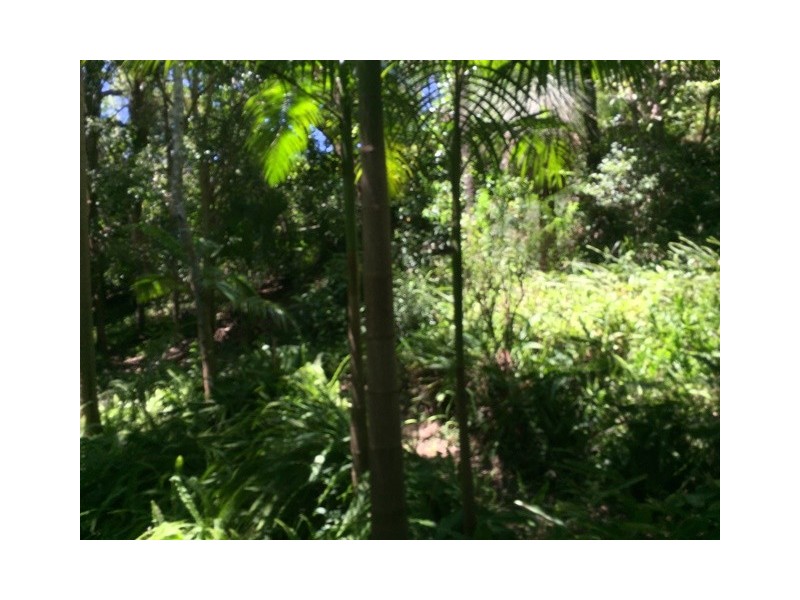 523 Wivenhoe Somerset Road, Split Yard Creek QLD 4306