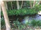 523 Wivenhoe Somerset Road, Split Yard Creek QLD 4306