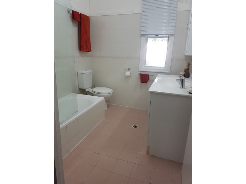 37 VINEYARD STREET, One Mile QLD 4305