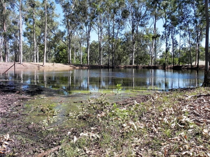39 LAKE STREET, Atkinsons Dam QLD 4311