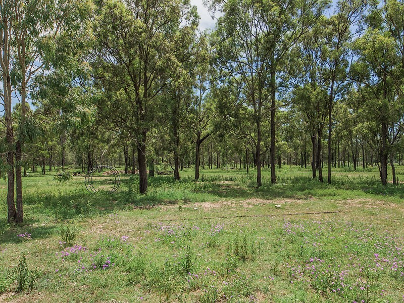 43 Hodgsons Rd, Walloon QLD 4306