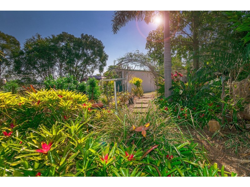3 Flame Tree Crt, Walloon QLD 4306