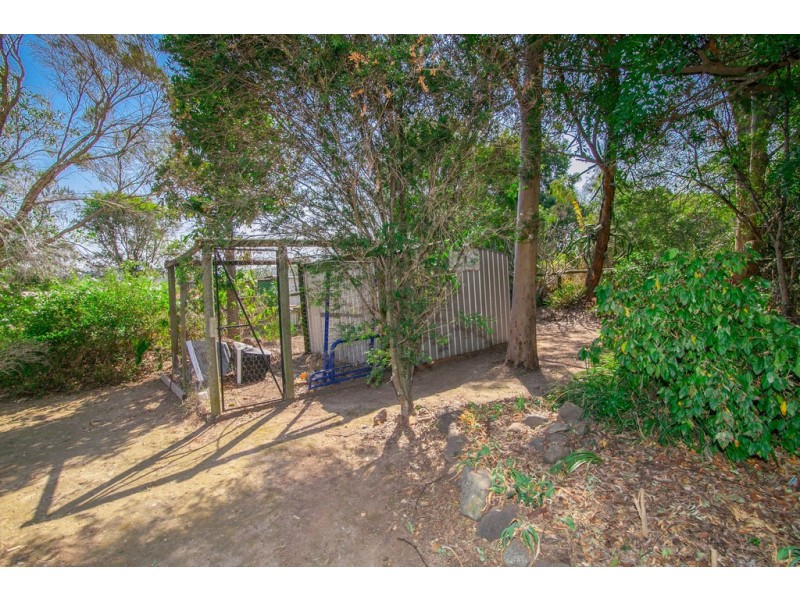 3 Flame Tree Crt, Walloon QLD 4306
