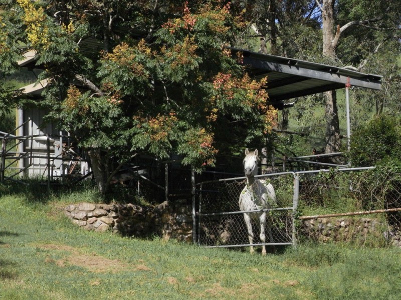 614 Kipper Creek Rd, Dundas QLD 4306