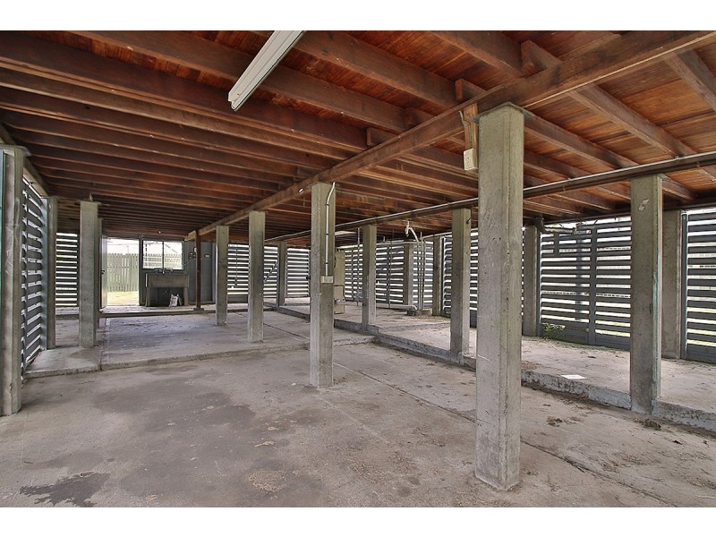 14 Felette St, Leichhardt QLD 4305